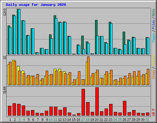Daily usage for January 2026
