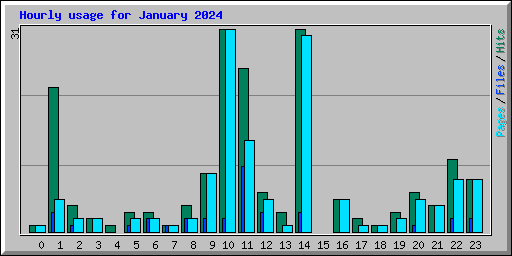 Hourly usage for January 2024