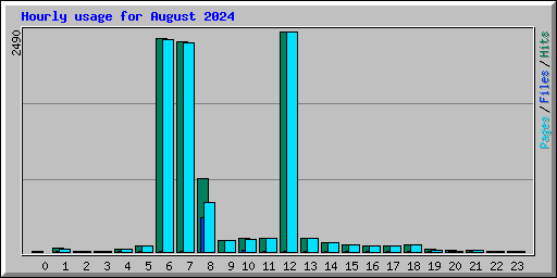 Hourly usage for August 2024