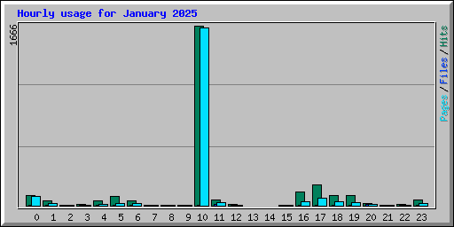 Hourly usage for January 2025