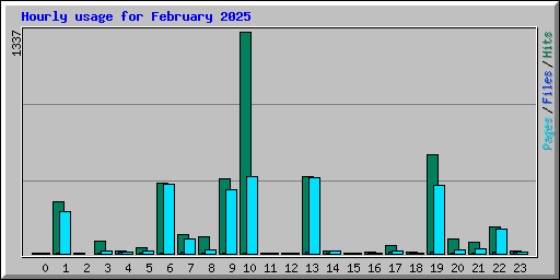 Hourly usage for February 2025