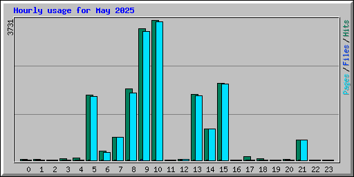Hourly usage for May 2025