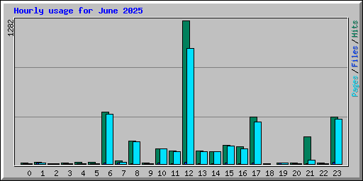 Hourly usage for June 2025