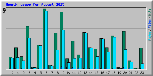Hourly usage for August 2025