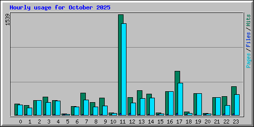 Hourly usage for October 2025