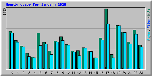 Hourly usage for January 2026