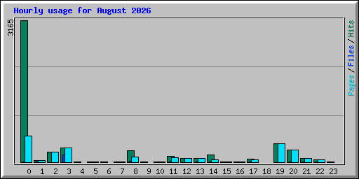Hourly usage for August 2026